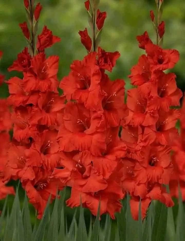 photo_13_2025-09-17_10-31-14