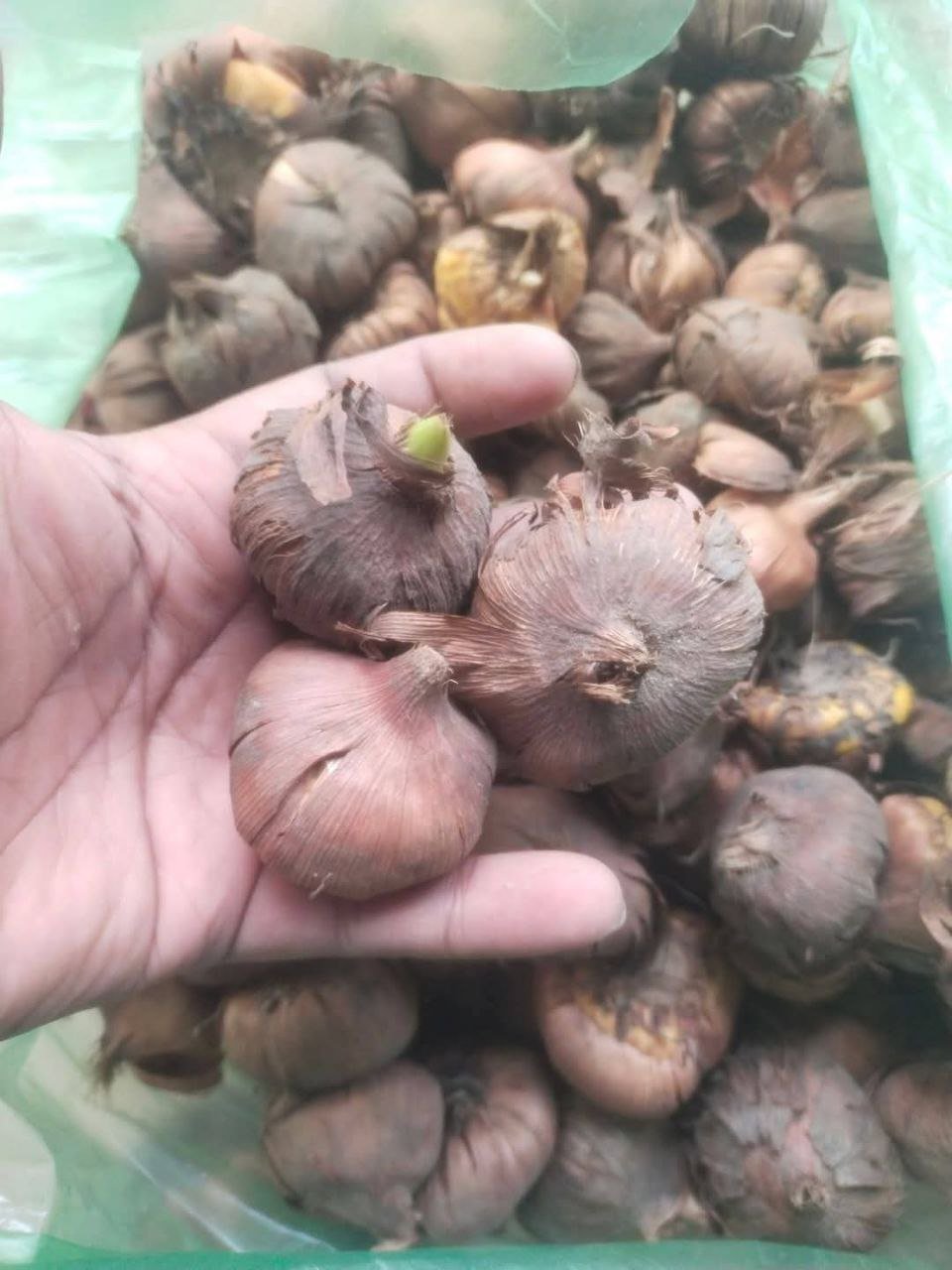 photo_1_2025-09-17_10-31-14