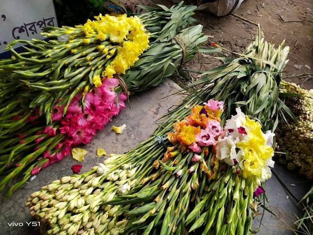 photo_6_2025-09-17_10-32-20