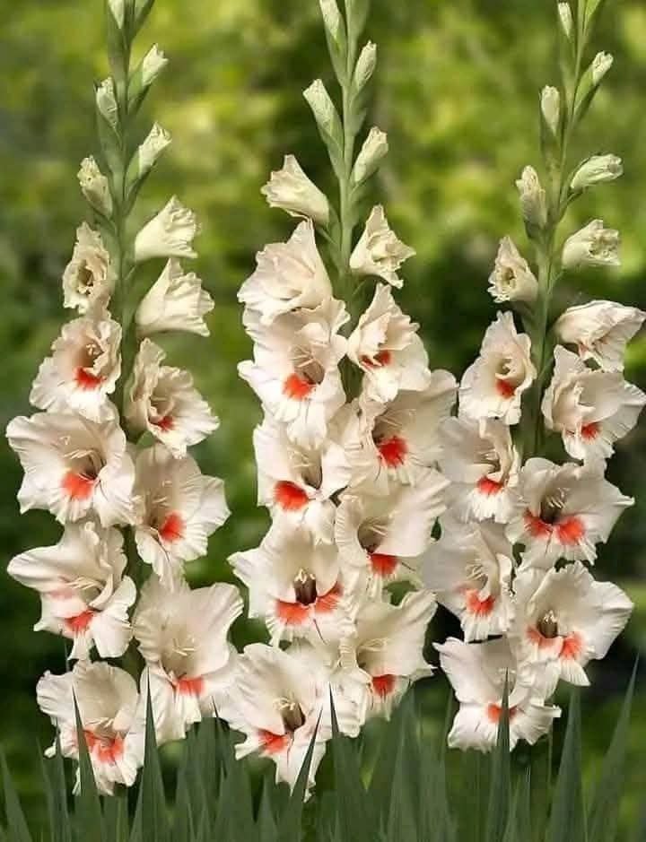 photo_7_2025-09-17_10-32-20