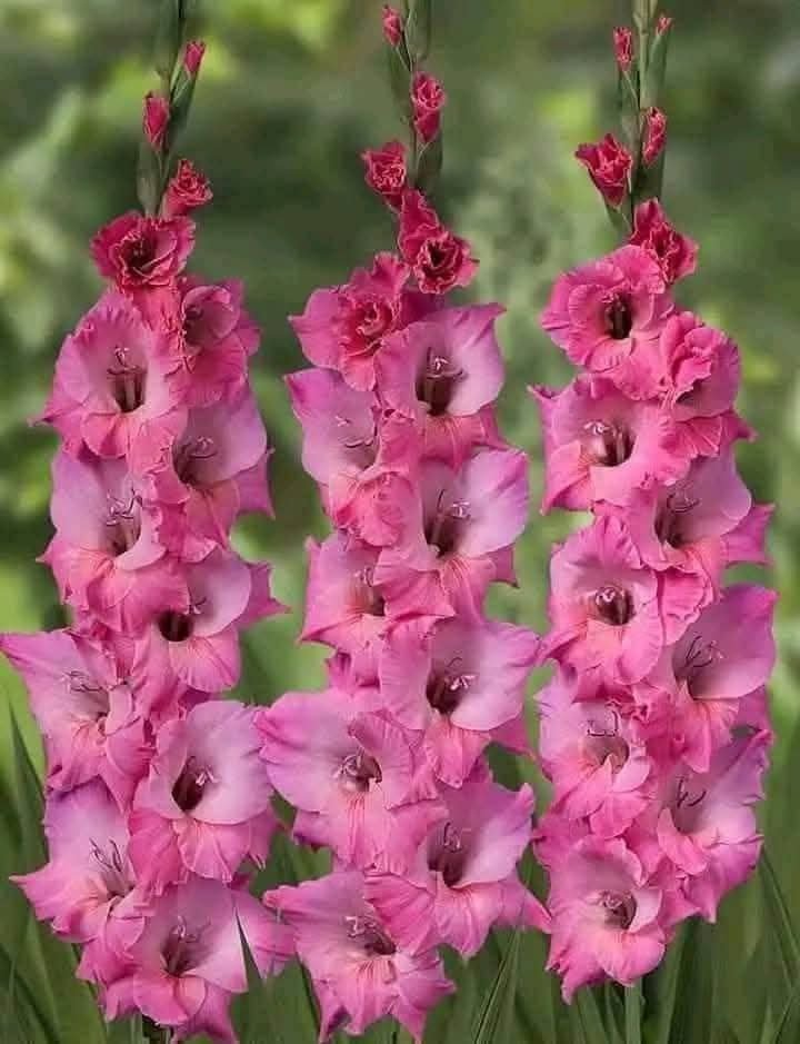 photo_8_2025-09-17_10-31-14